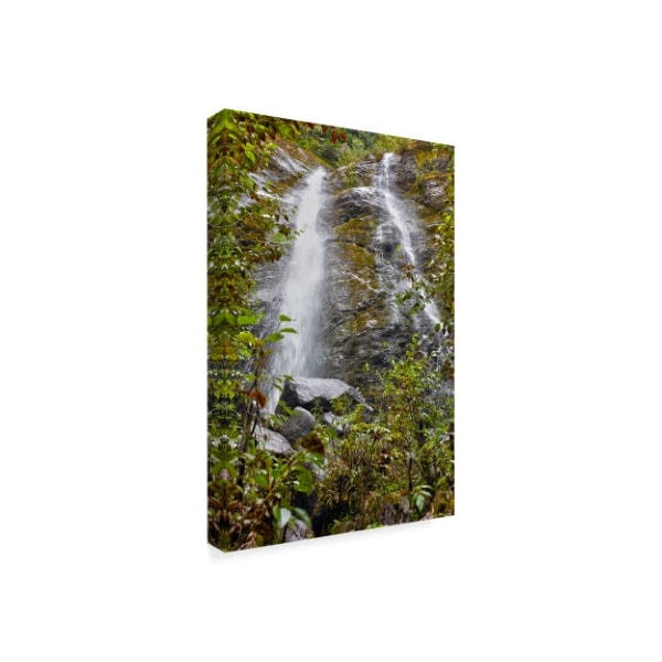 Mitch Catanzaro 'Waterfall' Canvas Art,22x32